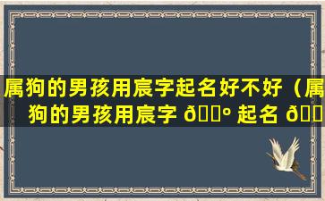 属狗的男孩用宸字起名好不好（属狗的男孩用宸字 🌺 起名 🐠 好不好呢）